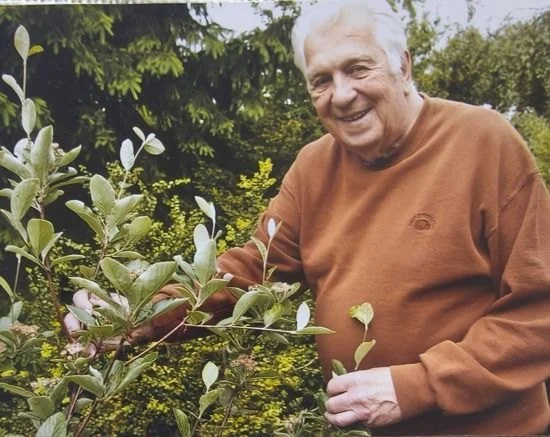 Usměvavý starší muž v oranžovém svetru mezi keři