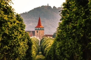 Čtyřřadá lipová alej s městskou věží Jičína v pozadí